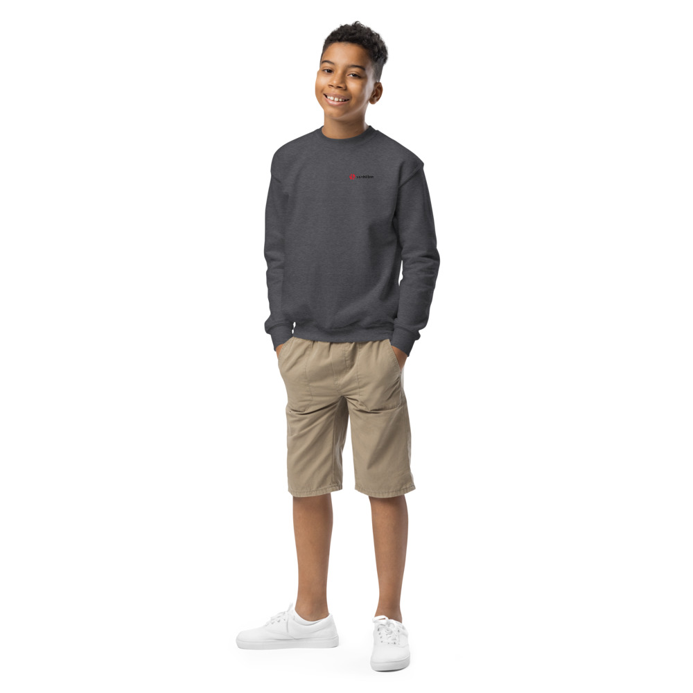 Van Hilten Direct Jongeren Sweater