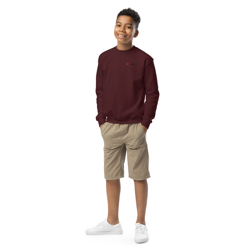 Van Hilten Direct Jongeren Sweater