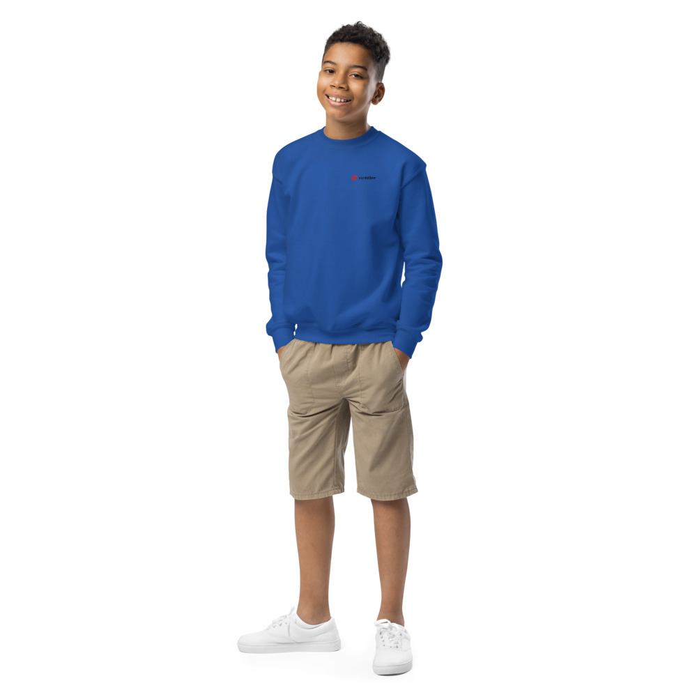 Van Hilten Direct Jongeren Sweater