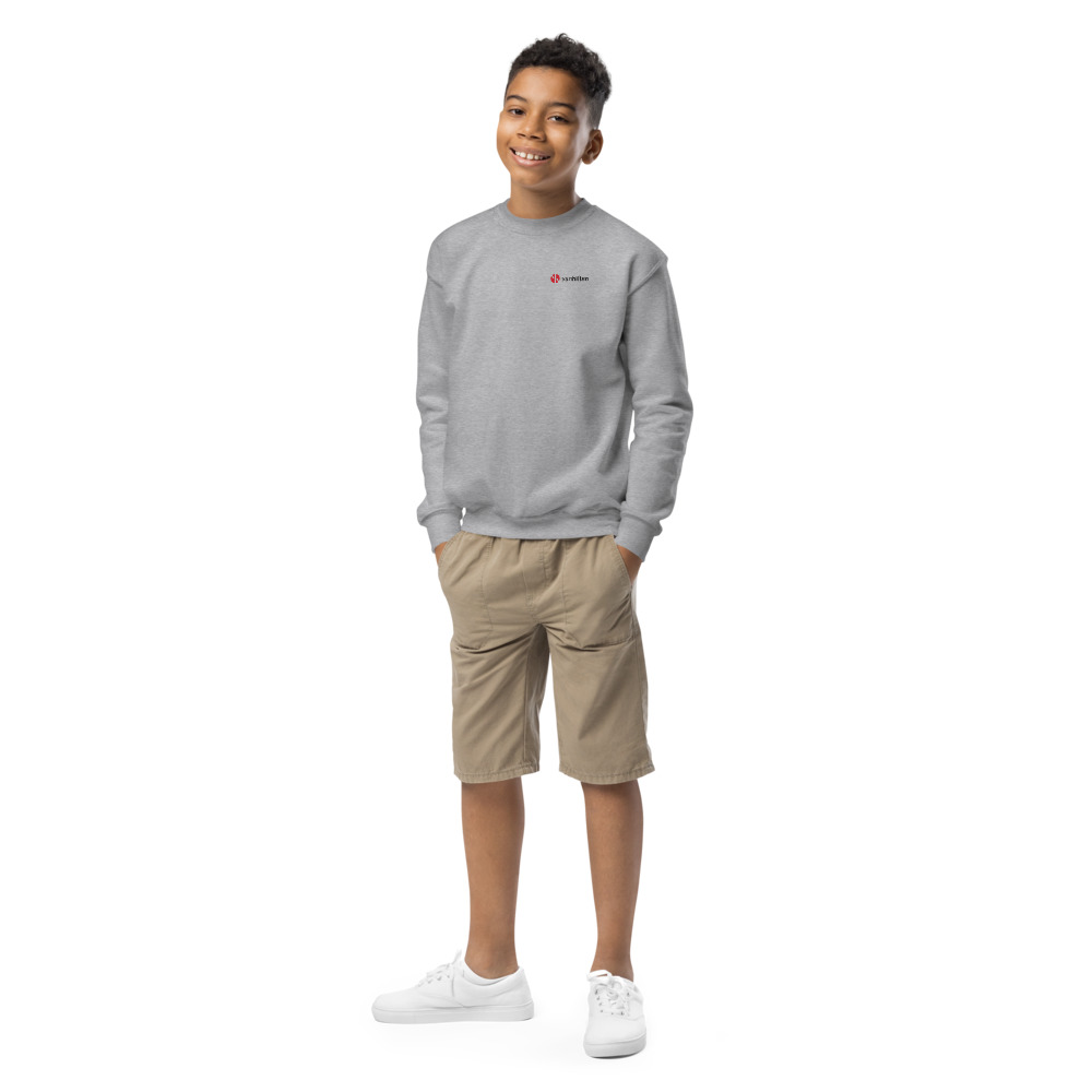 Van Hilten Direct Jongeren Sweater