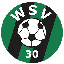 wsv30