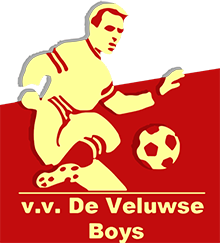 VV De Veluwse Boys