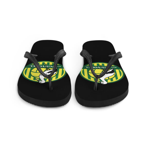 Flip-Flops
