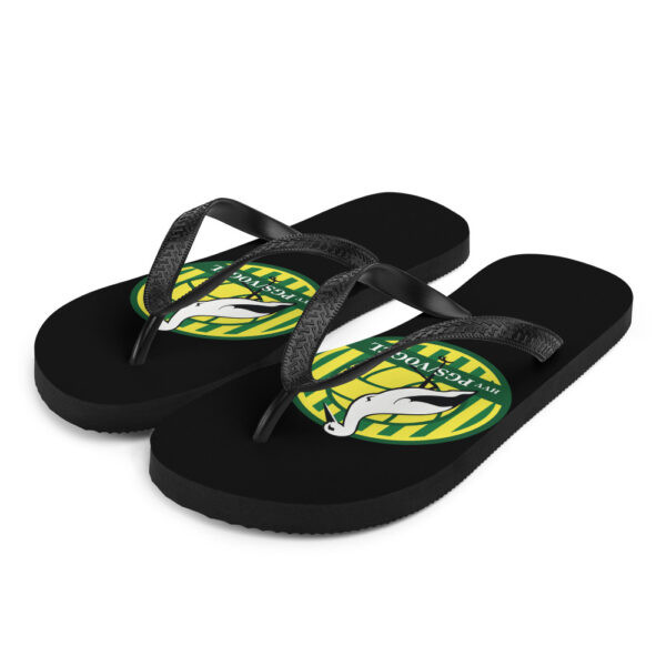 Flip-Flops