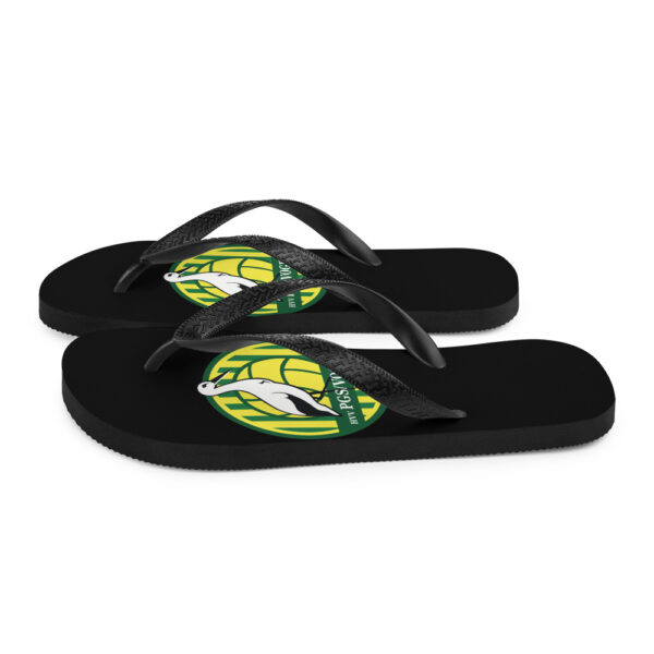 Flip-Flops