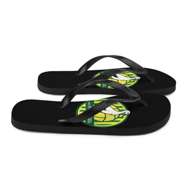 Flip-Flops