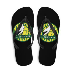 Flip-Flops