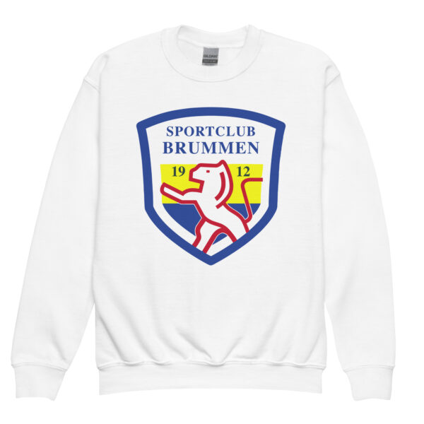 Youth crewneck sweatshirt