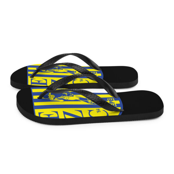 Ezc84(1) -  Slippers