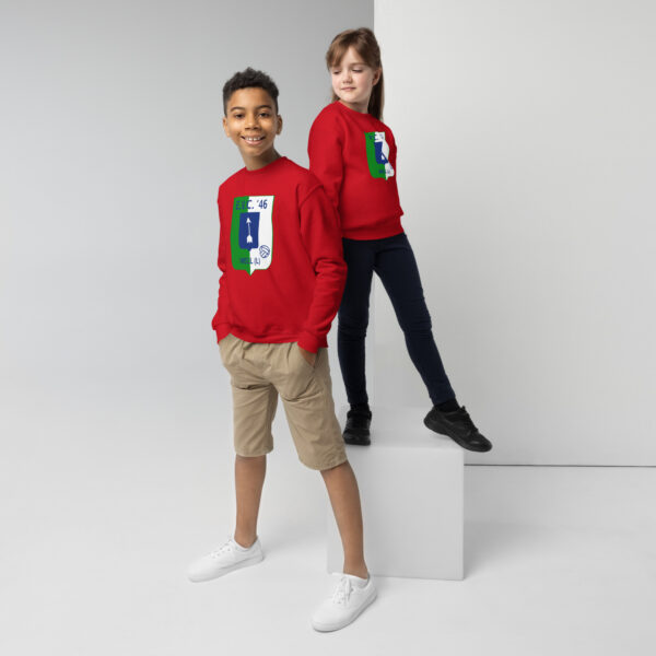 EWC46 - Jongeren sweater