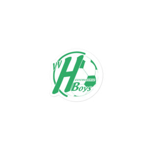 Heerenveenseboys - Sticker Logo