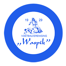 VVWaspik