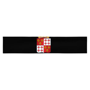FCHarlingen -  Hoofdband