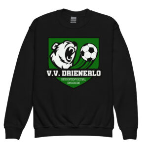 VVdrienerlo - Jongeren sweater