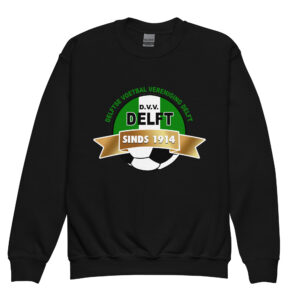 DVVDelft - Jongeren sweater