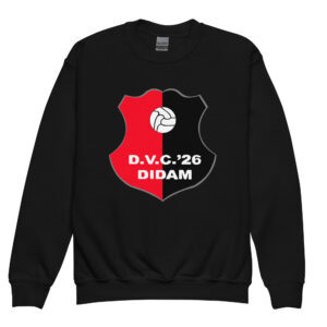 DVC26 - Jongeren sweater